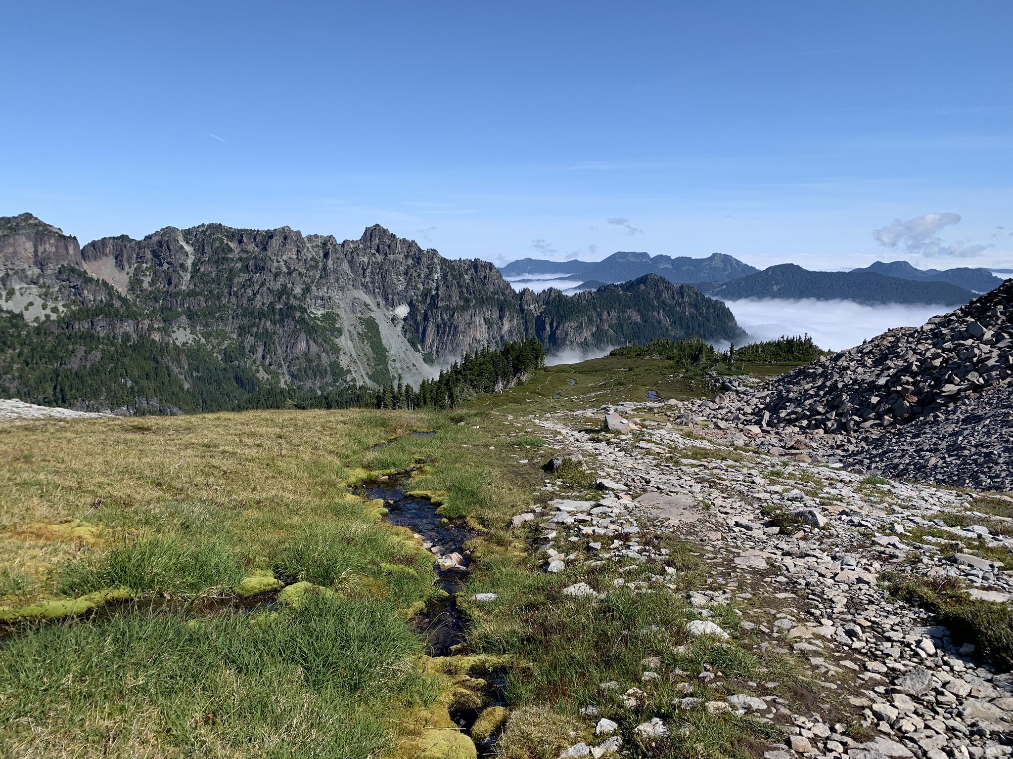 the clouds fill valleys in Mt. Rainier National Park