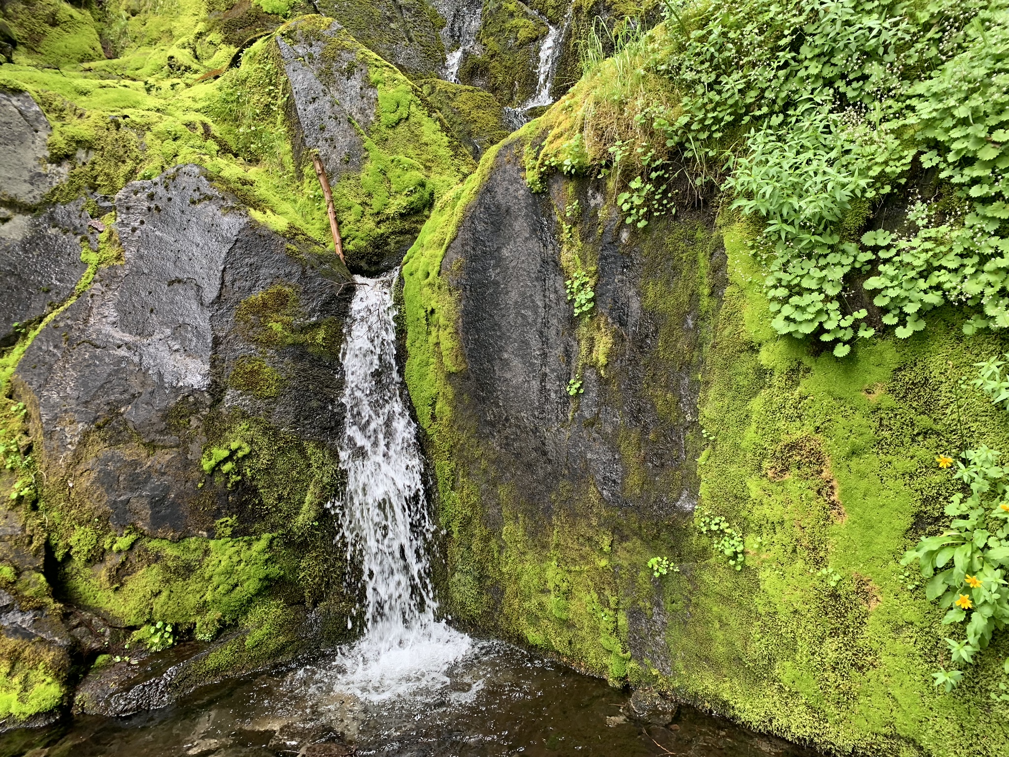 a waterfall amidst glowing green moss