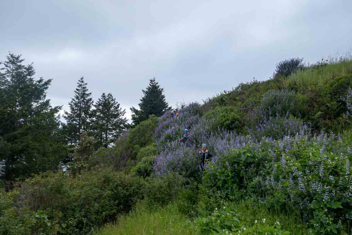 Trail running on the Lost Coast, California