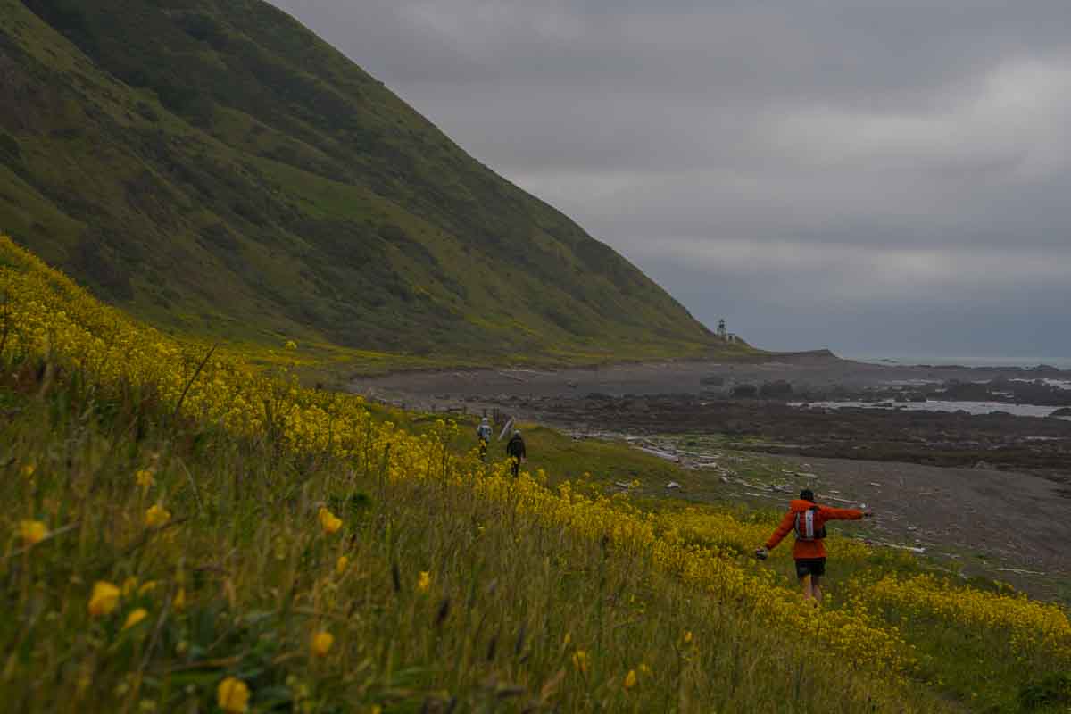 Trail running on the Lost Coast, California