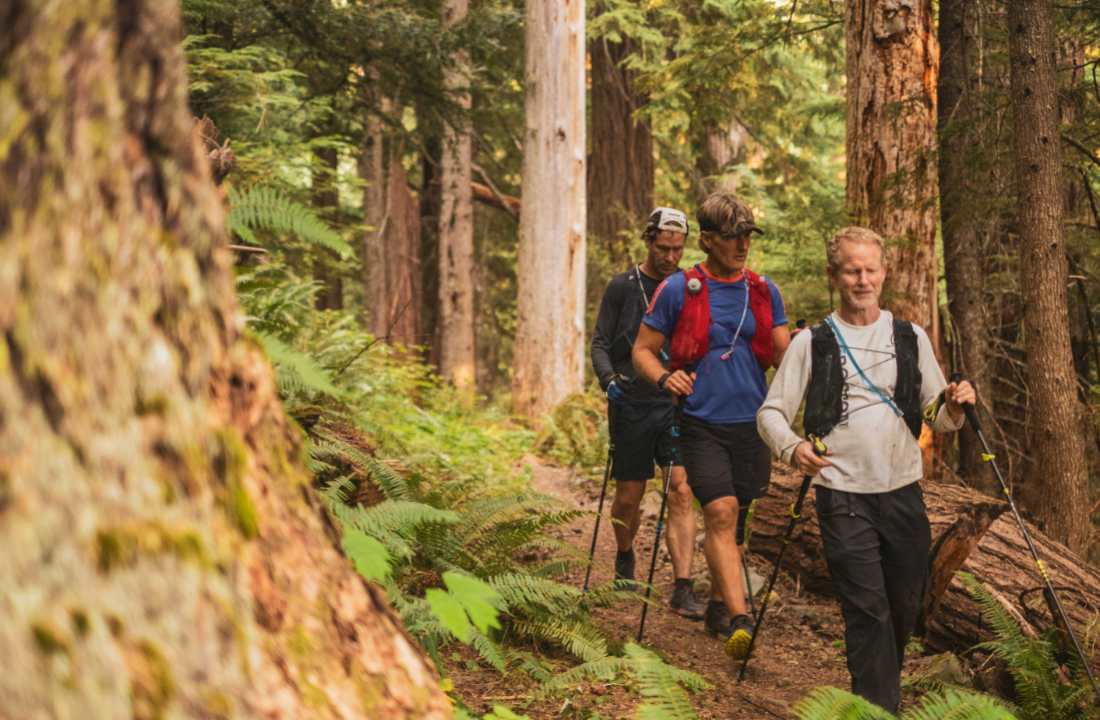 Dan Berlin and his team walk through old growth forest on the Wonderland Trail.